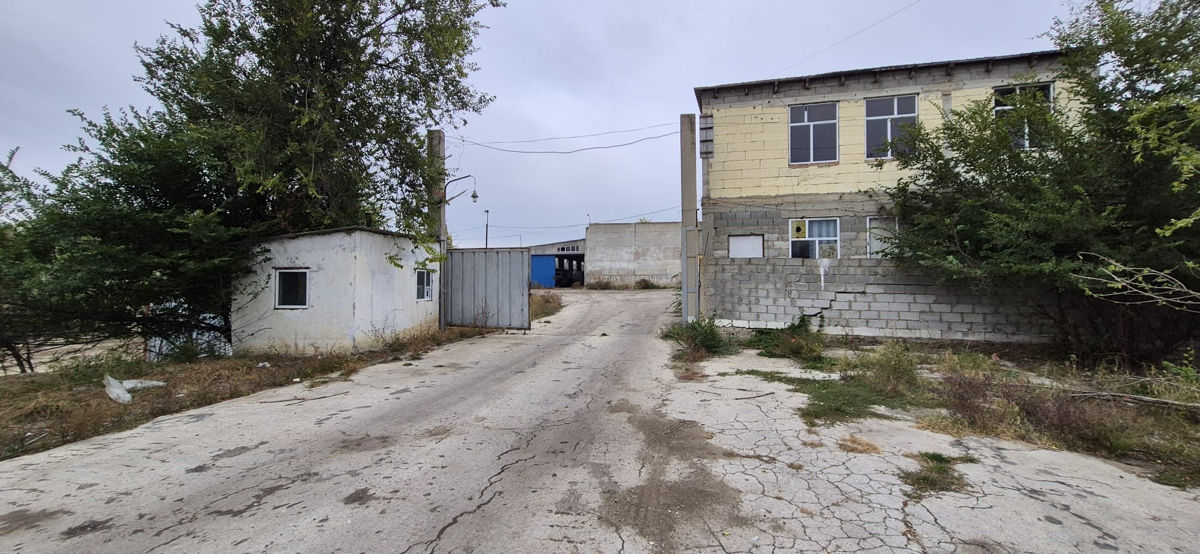 Нужна консультация